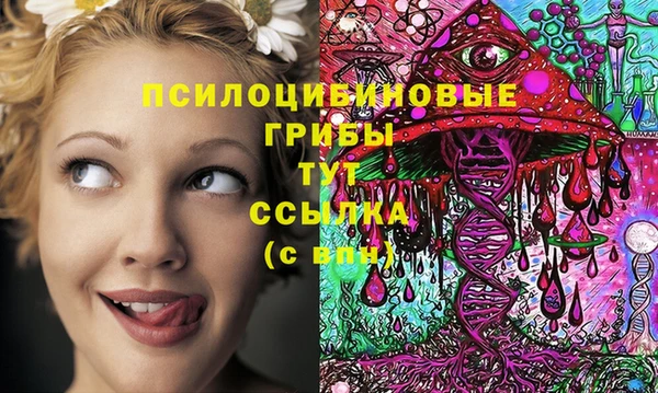 амф Абаза