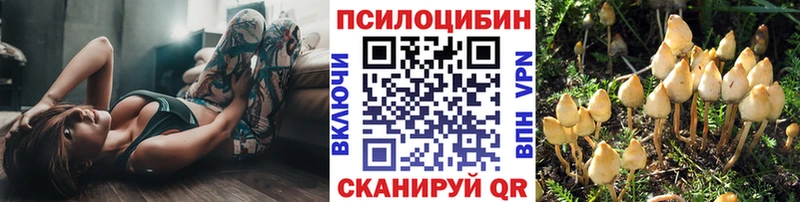 Галлюциногенные грибы Cubensis  гидра зеркало  Абакан 